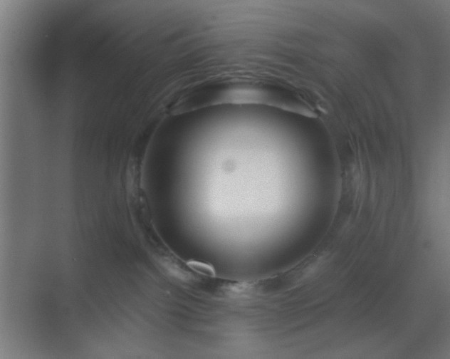 X0000069790092200605261708