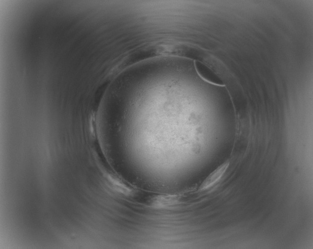 X0000069790094200605261708