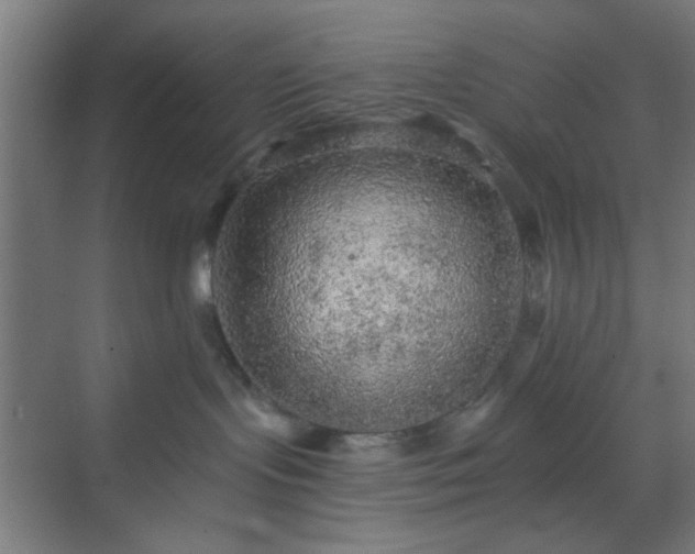 X0000069790095200605261708