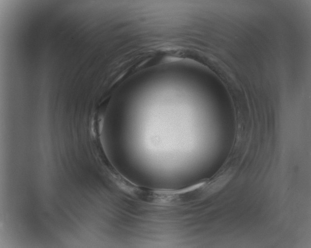 X0000069790096200605261708