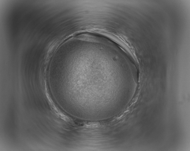 X0000069790097200605261707