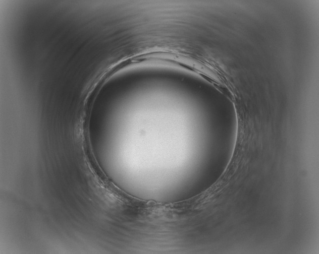 X0000069790098200605261707