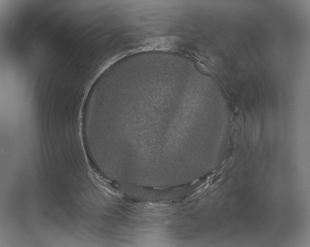 X0000069790100200605261707