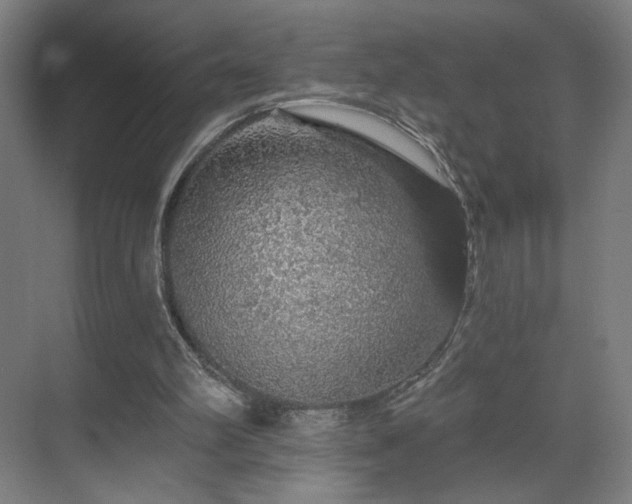 X0000069790102200605261707