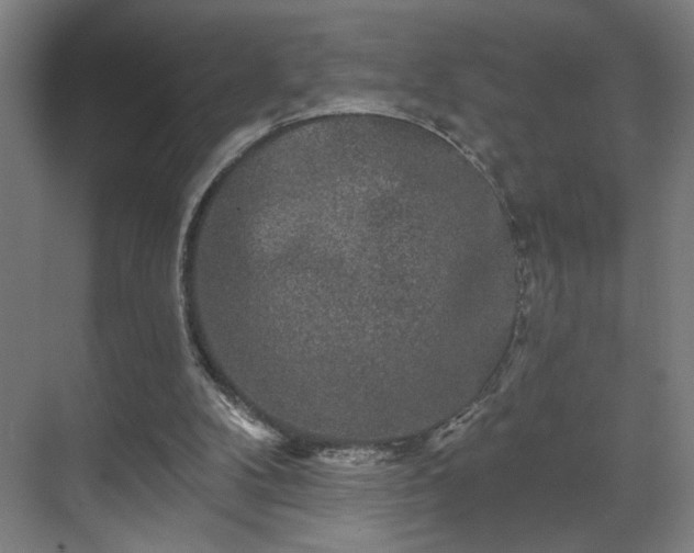 X0000069790104200605261707