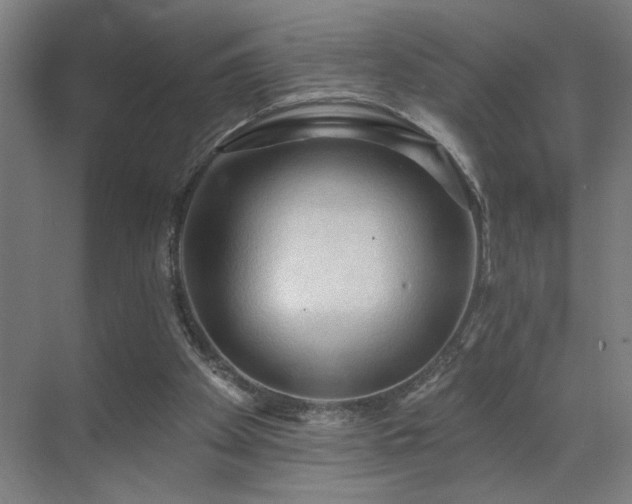 X0000069790105200605261707