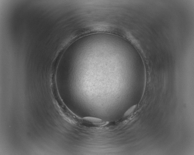 X0000069790106200605261707