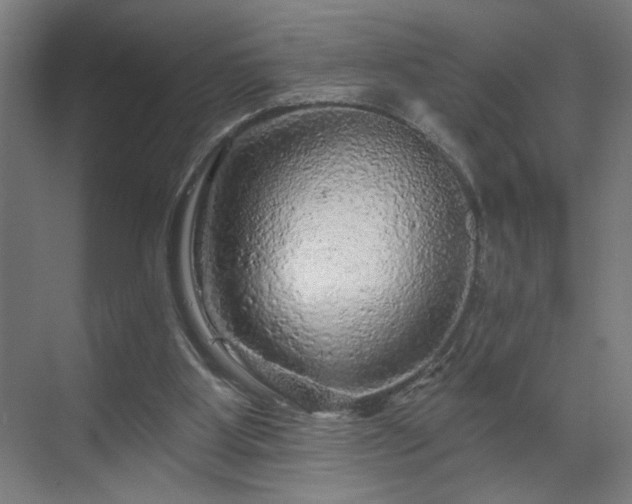 X0000069790107200605261707