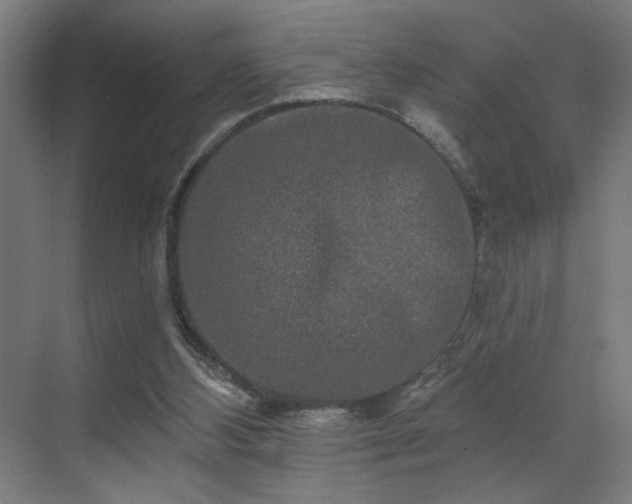 X0000069790108200605261707