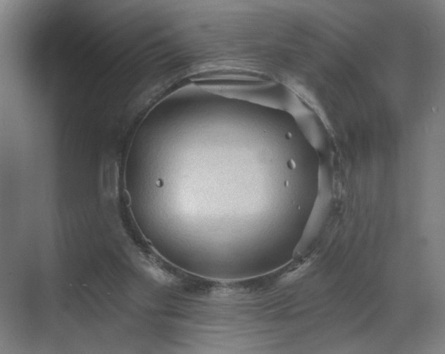 X0000069790109200605261707