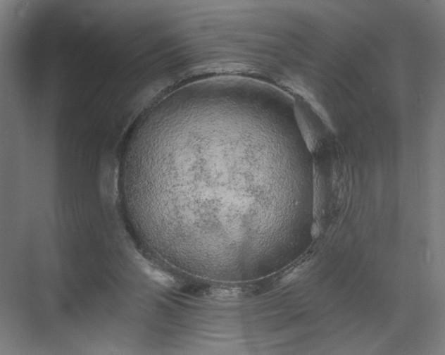 X0000069790110200605261707