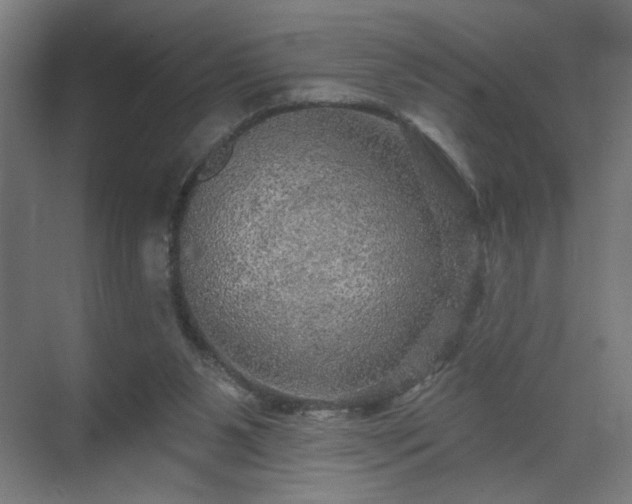 X0000069790111200605261707