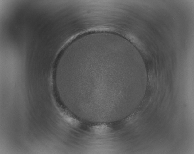 X0000069790112200605261707