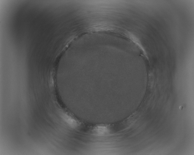 X0000069790114200605261707