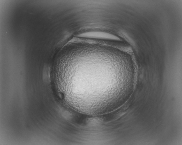 X0000069790115200605261707