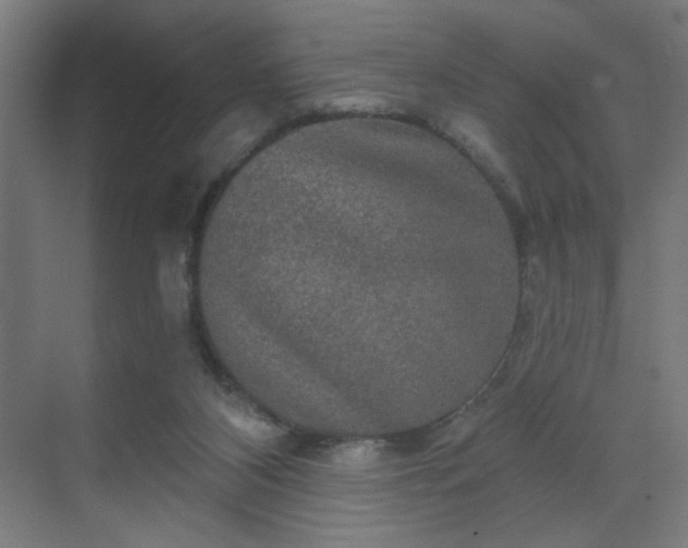 X0000069790116200605261707