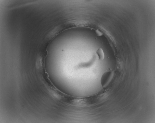 X0000069790117200605261707