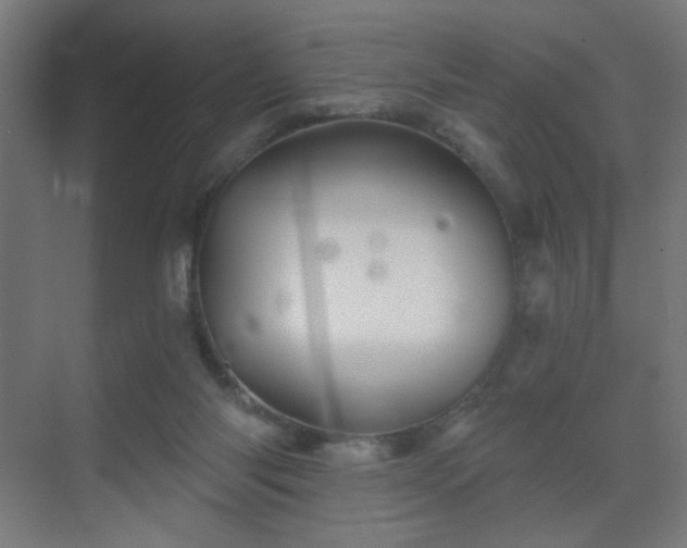 X0000069790118200605261707