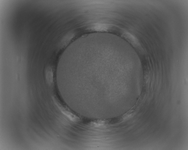 X0000069790120200605261707