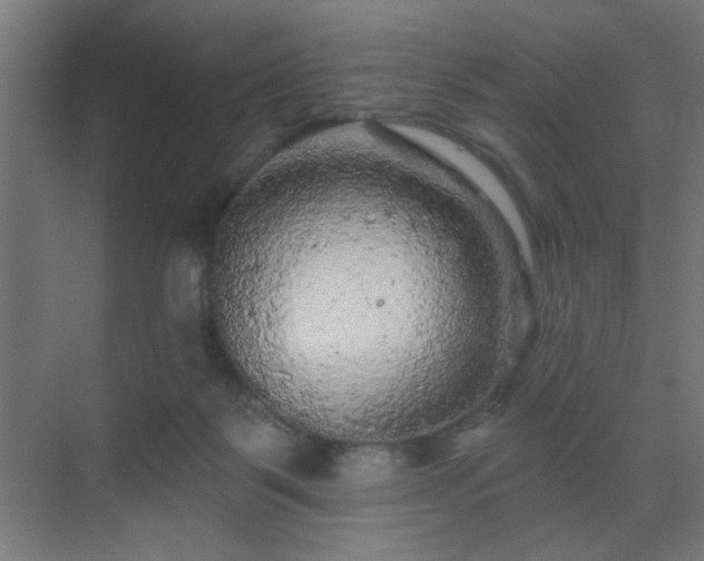 X0000069790123200605261707