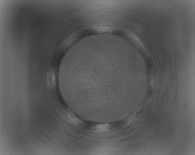 X0000069790124200605261707