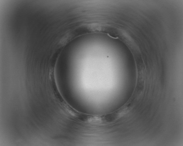 X0000069790125200605261707