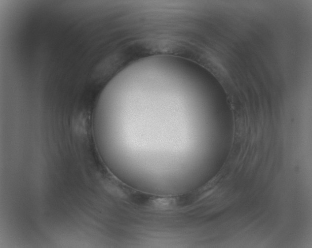 X0000069790126200605261707