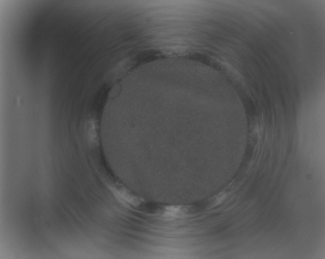 X0000069790130200605261706