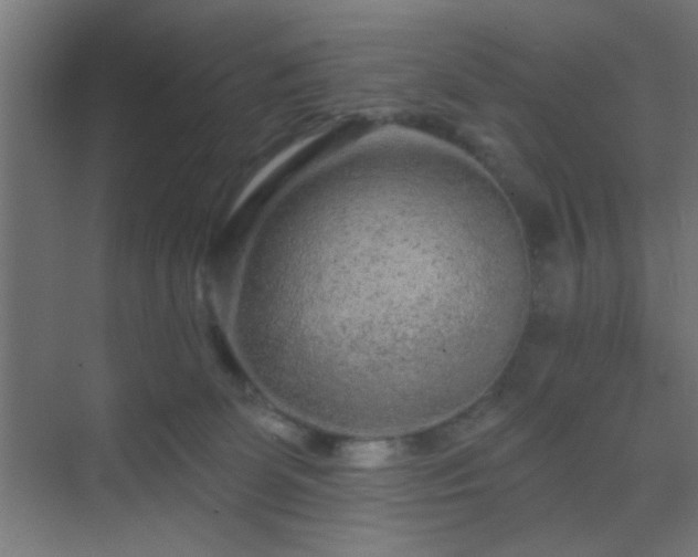 X0000069790131200605261706