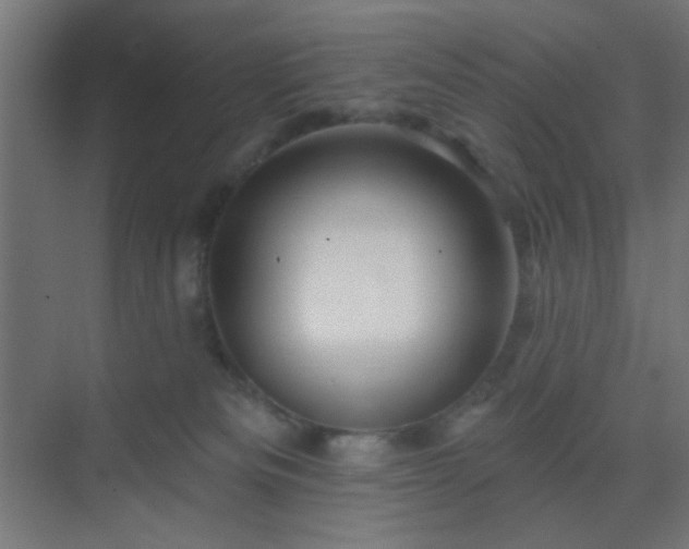 X0000069790133200605261706