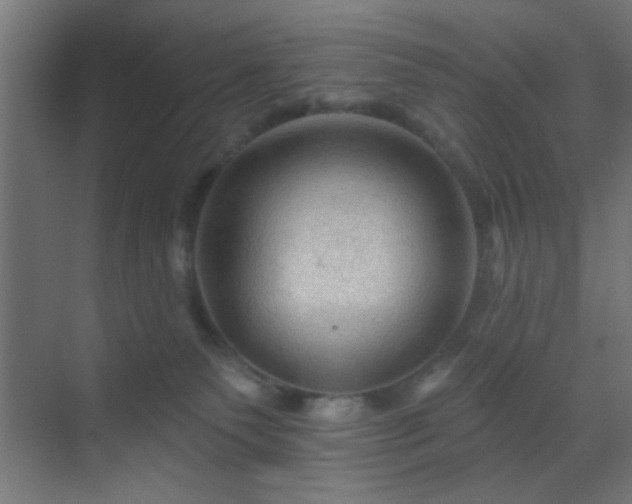 X0000069790135200605261706