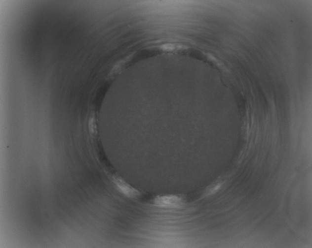 X0000069790137200605261706