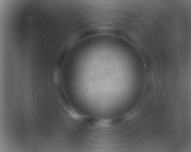 X0000069790138200605261706