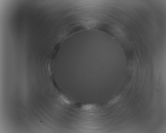 X0000069790139200605261706