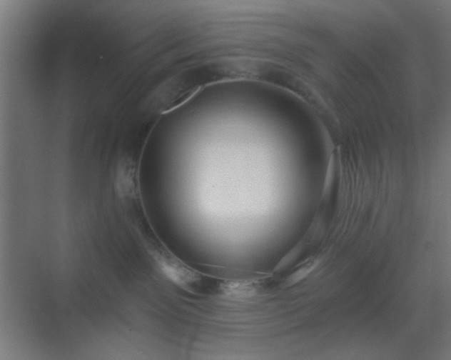 X0000069790141200605261706