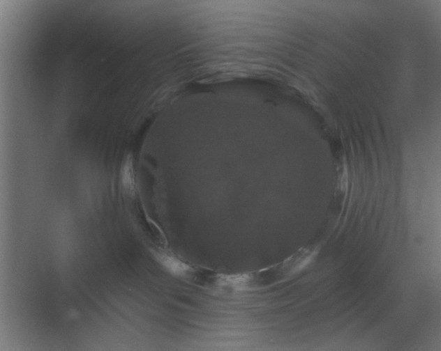 X0000069790143200605261706