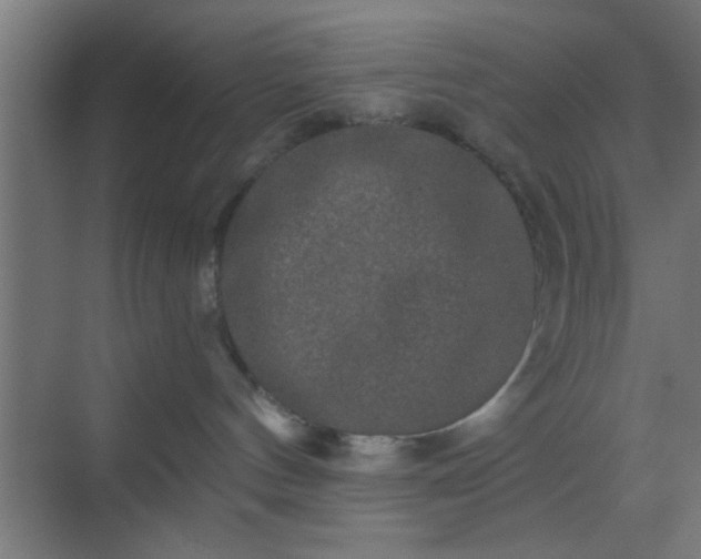 X0000069790144200605261706