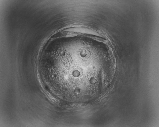 X0000069790145200605261705