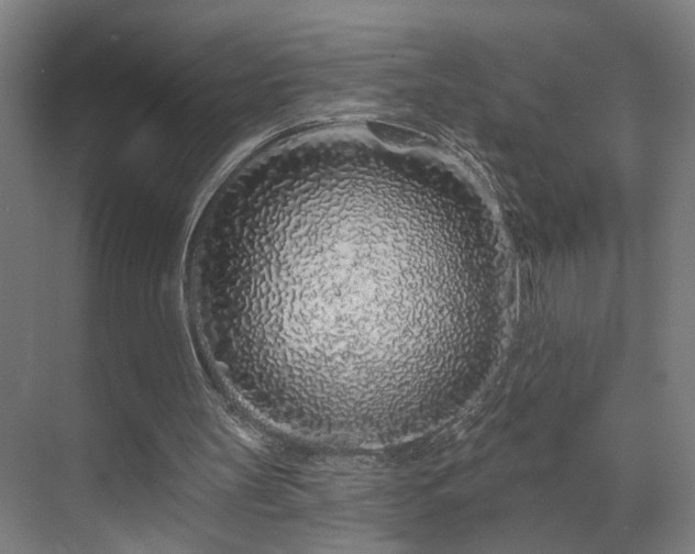 X0000069790147200605261705