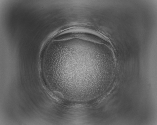 X0000069790149200605261705