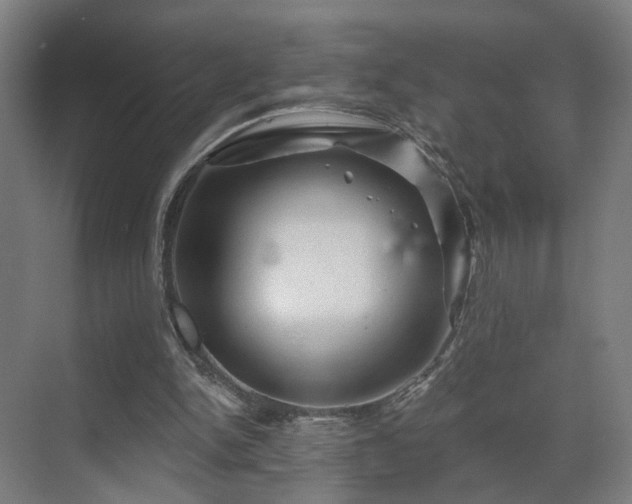 X0000069790150200605261705