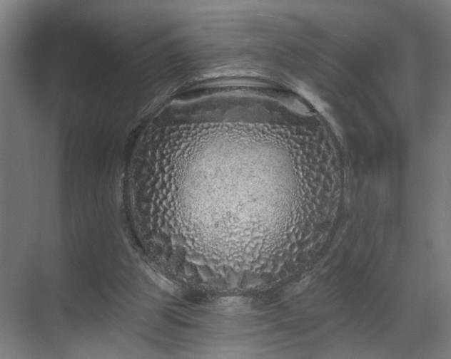 X0000069790153200605261706