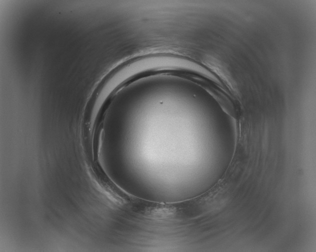 X0000069790156200605261706