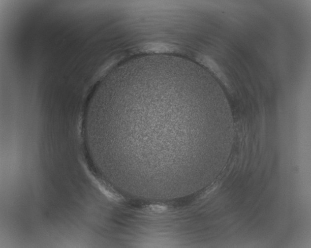 X0000069790159200605261706