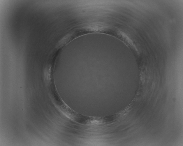 X0000069790163200605261706