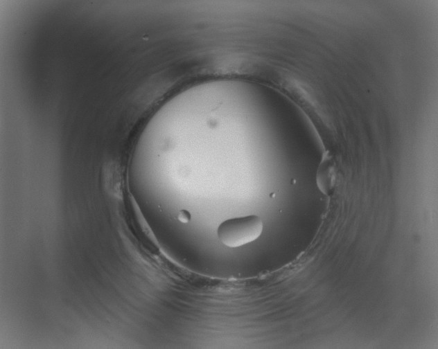 X0000069790164200605261706