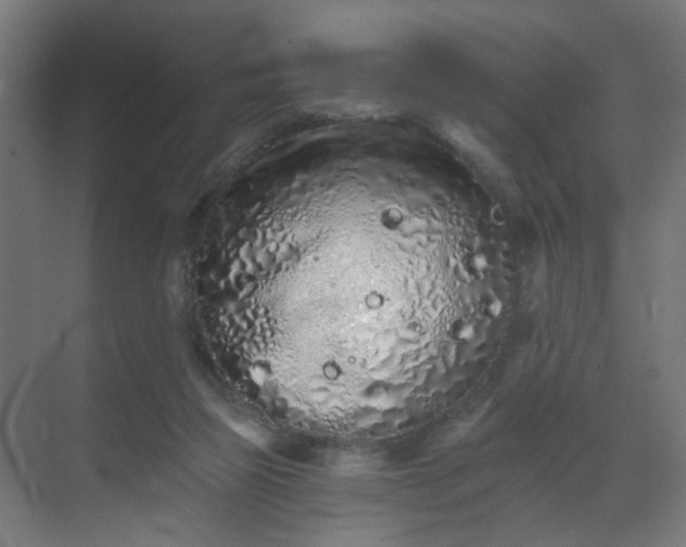 X0000069790165200605261706