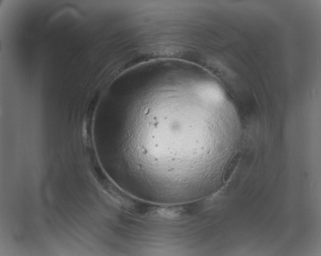 X0000069790166200605261706