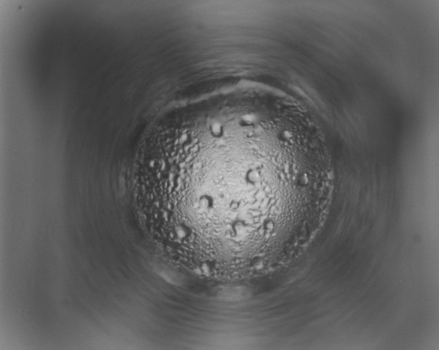 X0000069790169200605261706