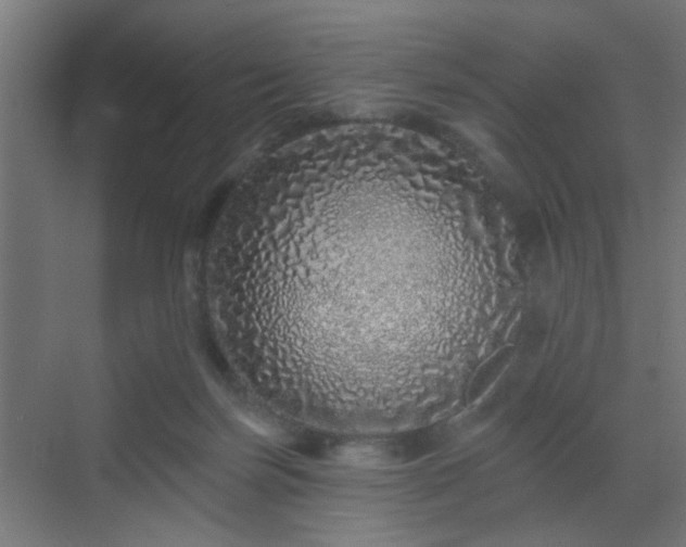 X0000069790171200605261706